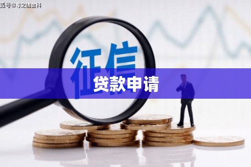 卧龙贷款申请