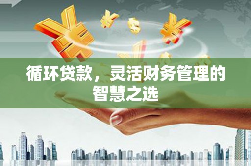 卧龙循环贷款，灵活财务管理的智慧之选