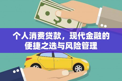 卧龙个人消费贷款，现代金融的便捷之选与风险管理