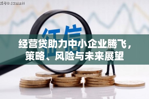 卧龙经营贷助力中小企业腾飞，策略、风险与未来展望