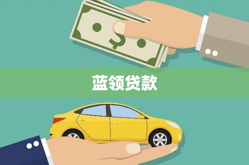 卧龙蓝领贷款