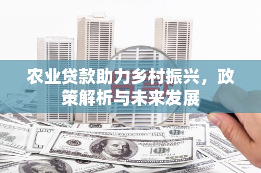卧龙农业贷款助力乡村振兴，政策解析与未来发展