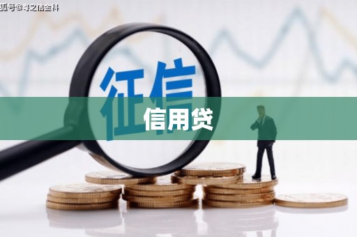 卧龙信用贷