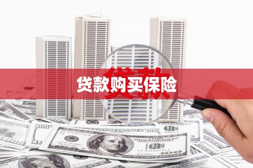 卧龙贷款购买保险