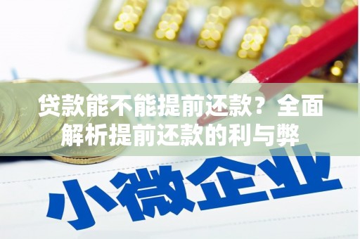 卧龙贷款能不能提前还款？全面解析提前还款的利与弊