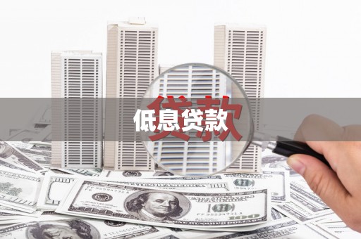 卧龙低息贷款
