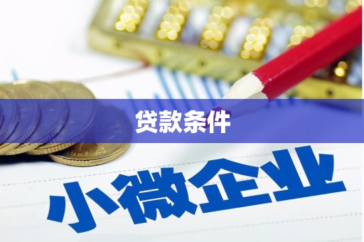 卧龙贷款条件