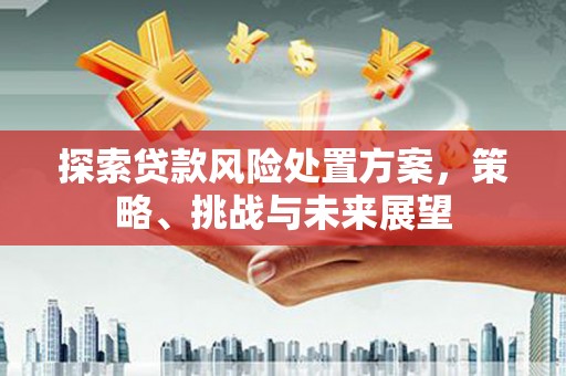 卧龙探索贷款风险处置方案，策略、挑战与未来展望