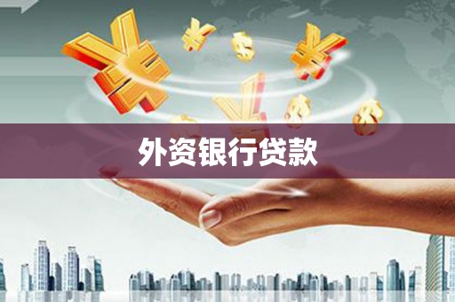 卧龙外资银行贷款