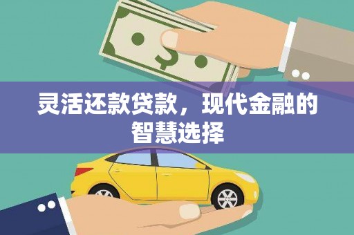 卧龙灵活还款贷款，现代金融的智慧选择