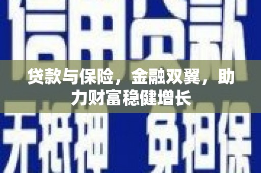 卧龙贷款与保险，金融双翼，助力财富稳健增长