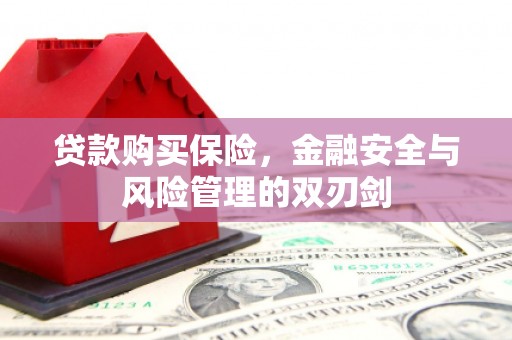 卧龙贷款购买保险，金融安全与风险管理的双刃剑