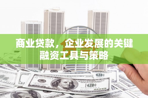 卧龙商业贷款，企业发展的关键融资工具与策略