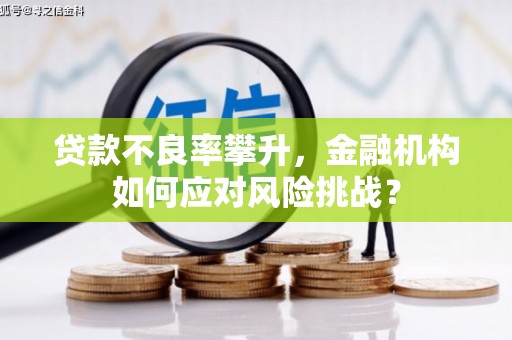 卧龙贷款不良率攀升，金融机构如何应对风险挑战？