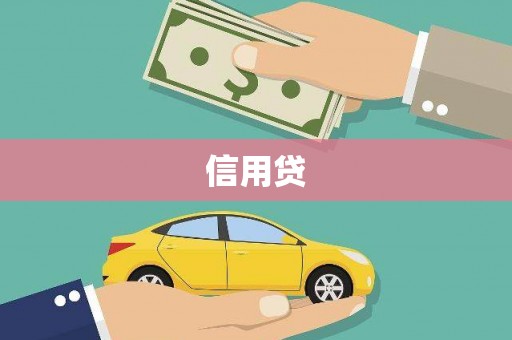 卧龙信用贷