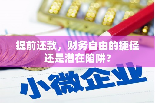 卧龙提前还款，财务自由的捷径还是潜在陷阱？
