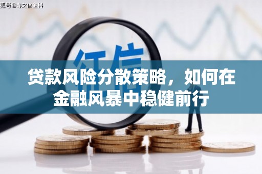 卧龙贷款风险分散策略，如何在金融风暴中稳健前行