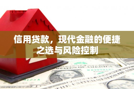 卧龙信用贷款，现代金融的便捷之选与风险控制