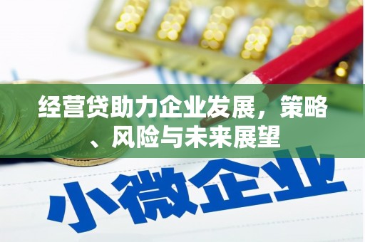 卧龙经营贷助力企业发展，策略、风险与未来展望