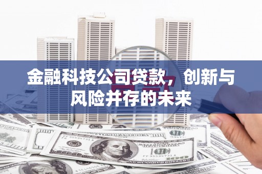 卧龙金融科技公司贷款，创新与风险并存的未来