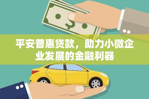 卧龙平安普惠贷款，助力小微企业发展的金融利器
