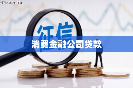 卧龙消费金融公司贷款