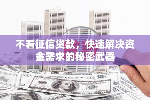 卧龙不看征信贷款，快速解决资金需求的秘密武器