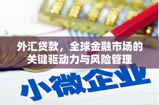 卧龙外汇贷款，全球金融市场的关键驱动力与风险管理