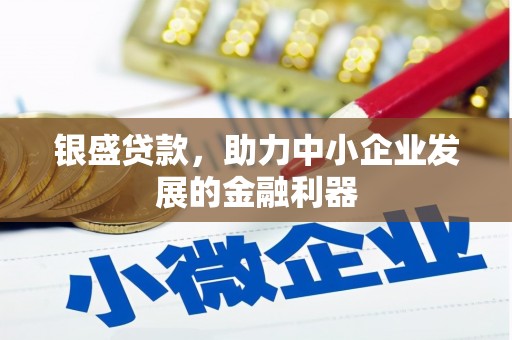 卧龙银盛贷款，助力中小企业发展的金融利器