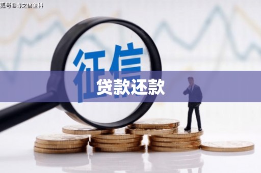 卧龙贷款还款