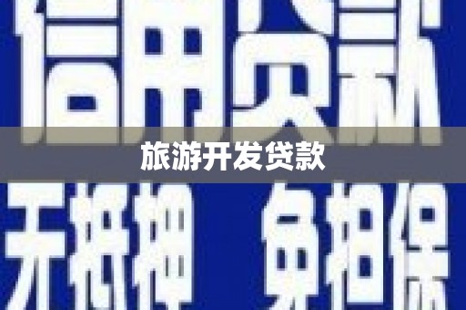 卧龙旅游开发贷款