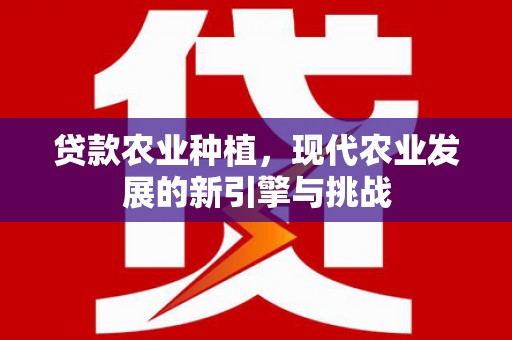 卧龙贷款农业种植，现代农业发展的新引擎与挑战