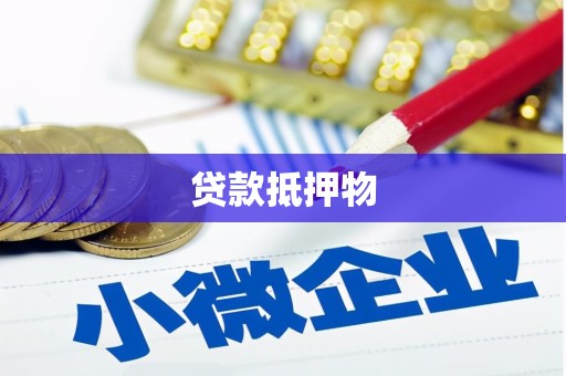 卧龙贷款抵押物