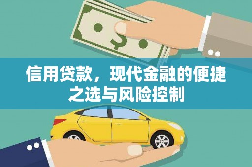 卧龙信用贷款，现代金融的便捷之选与风险控制