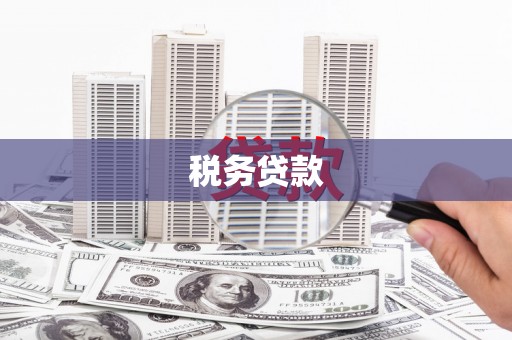 卧龙税务贷款