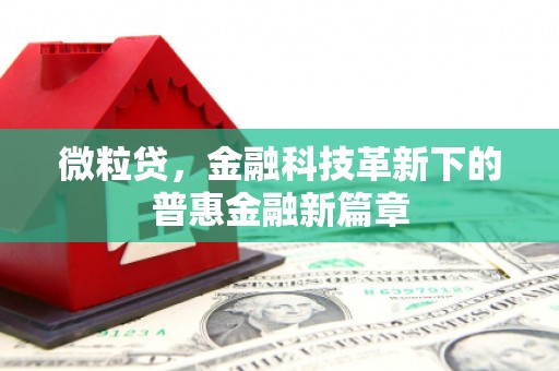 卧龙微粒贷，金融科技革新下的普惠金融新篇章
