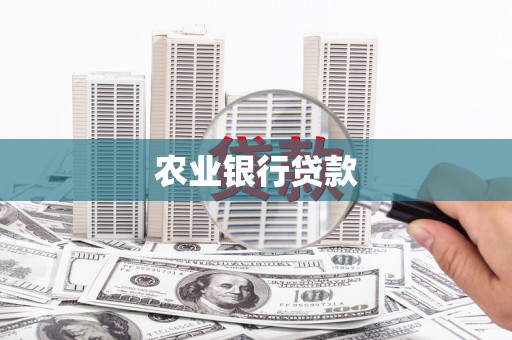 卧龙农业银行贷款