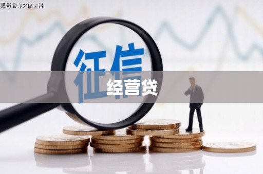 卧龙经营贷