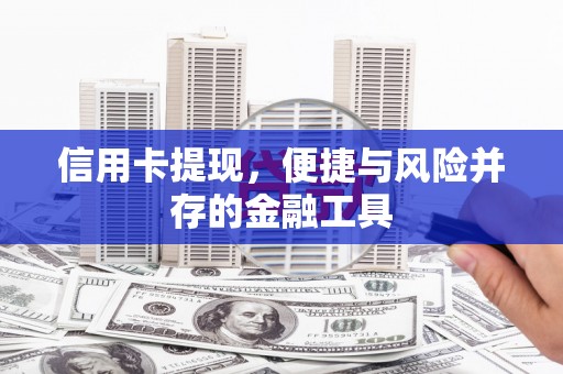 卧龙信用卡提现，便捷与风险并存的金融工具