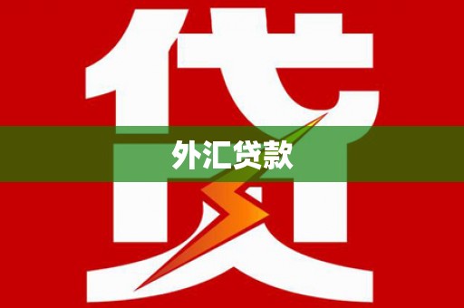卧龙外汇贷款