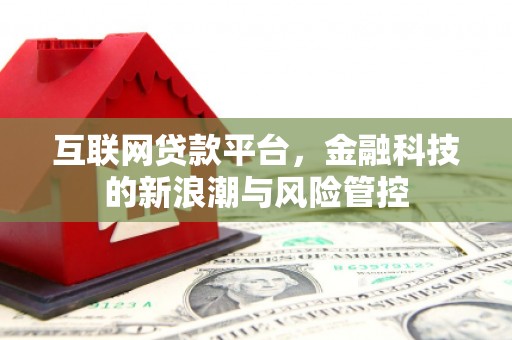 卧龙互联网贷款平台，金融科技的新浪潮与风险管控