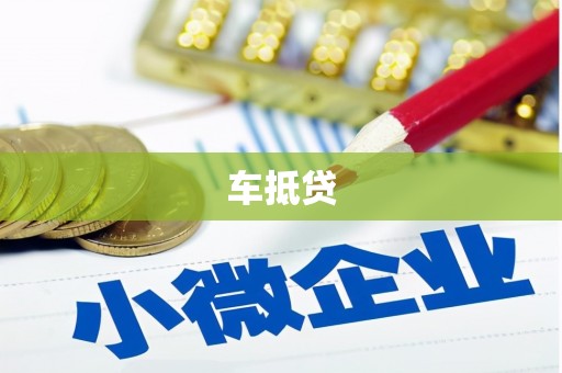卧龙车抵贷