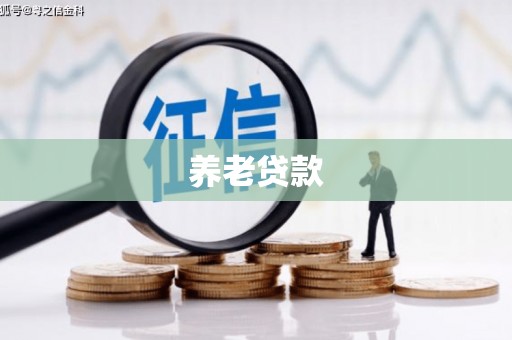 卧龙养老贷款