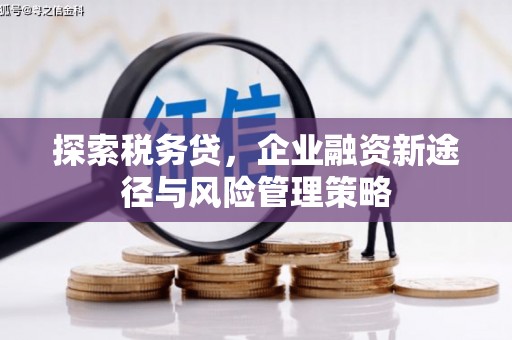 卧龙探索税务贷，企业融资新途径与风险管理策略