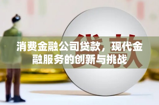 卧龙消费金融公司贷款，现代金融服务的创新与挑战