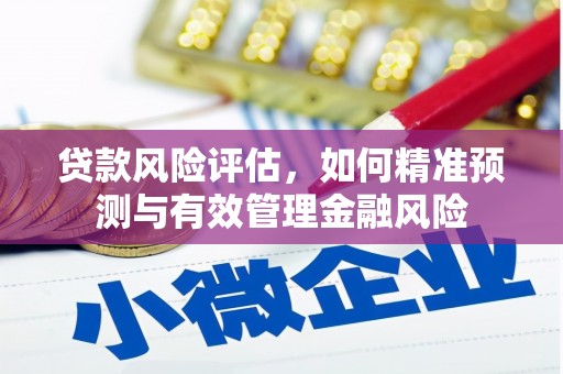 卧龙贷款风险评估，如何精准预测与有效管理金融风险
