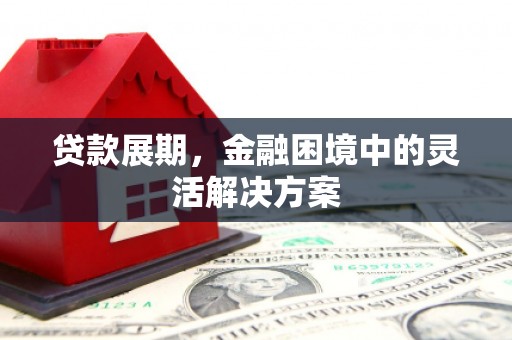 卧龙贷款展期，金融困境中的灵活解决方案