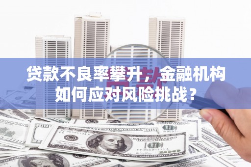 卧龙贷款不良率攀升，金融机构如何应对风险挑战？