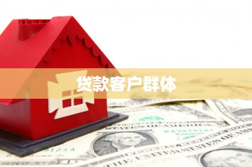 卧龙贷款客户群体