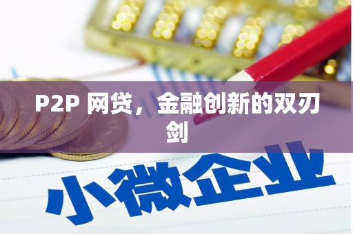 卧龙P2P 网贷，金融创新的双刃剑